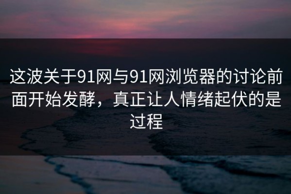 这波关于91网与91网浏览器的讨论前面开始发酵，真正让人情绪起伏的是过程