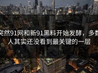 突然91网和新91黑料开始发酵，多数人其实还没看到最关键的一层
