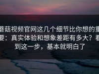 蘑菇视频官网这几个细节比你想的重要：真实体验和想象差距有多大？看到这一步，基本就明白了