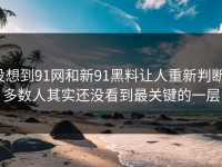 没想到91网和新91黑料让人重新判断，多数人其实还没看到最关键的一层
