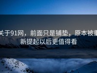 关于91网，前面只是铺垫，原本被重新提起以后更值得看