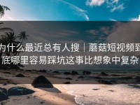 为什么最近总有人搜｜蘑菇短视频到底哪里容易踩坑这事比想象中复杂