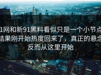 91网和新91黑料看似只是一个小节点，结果刚开始热度回来了，真正的悬念反而从这里开始