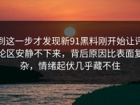 到这一步才发现新91黑料刚开始让评论区安静不下来，背后原因比表面复杂，情绪起伏几乎藏不住