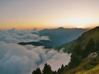 有人问每日大赛吃瓜突然冒出的消息把评论区点燃了