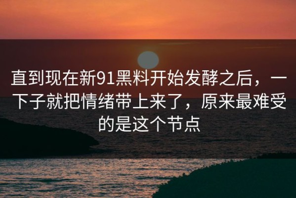 直到现在新91黑料开始发酵之后，一下子就把情绪带上来了，原来最难受的是这个节点