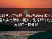 直到今天才搞懂，蘑菇视频ios常见误区其实比想象中更多，别等踩过坑才发现这里最关键