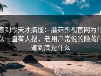 直到今天才搞懂：蘑菇影视官网为什么一直有人搜，老用户常说的隐藏门道到底是什么