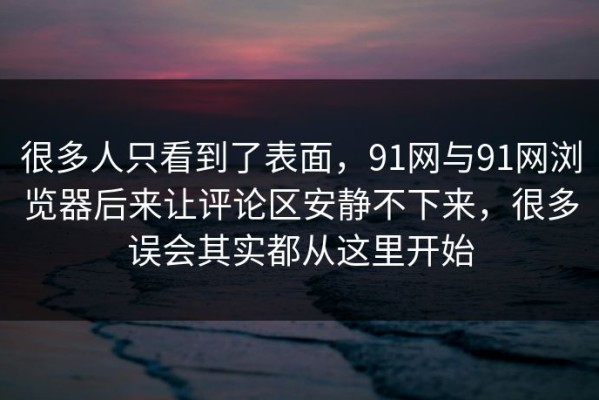 很多人只看到了表面，91网与91网浏览器后来让评论区安静不下来，很多误会其实都从这里开始