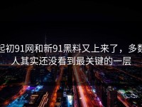 起初91网和新91黑料又上来了，多数人其实还没看到最关键的一层