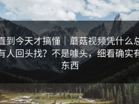 直到今天才搞懂｜蘑菇视频凭什么总有人回头找？不是噱头，细看确实有东西