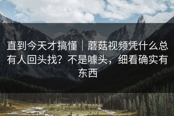 直到今天才搞懂｜蘑菇视频凭什么总有人回头找？不是噱头，细看确实有东西