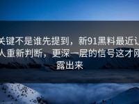 关键不是谁先提到，新91黑料最近让人重新判断，更深一层的信号这才刚露出来