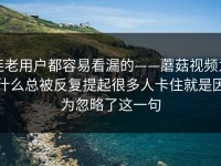 连老用户都容易看漏的——蘑菇视频为什么总被反复提起很多人卡住就是因为忽略了这一句