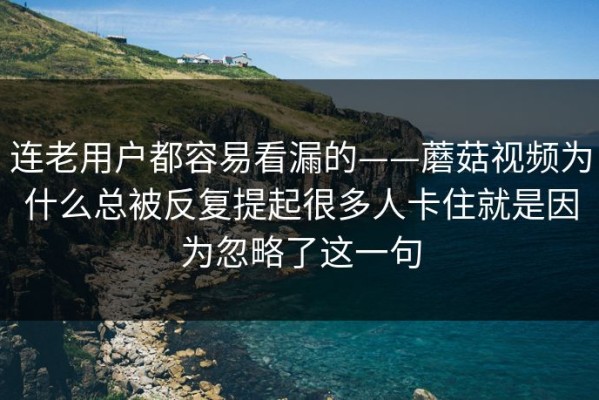 连老用户都容易看漏的——蘑菇视频为什么总被反复提起很多人卡住就是因为忽略了这一句