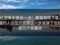 比想象中复杂一点：蘑菇视频下载，懂的人往往只提醒这一步说穿了也就这几个关键点
