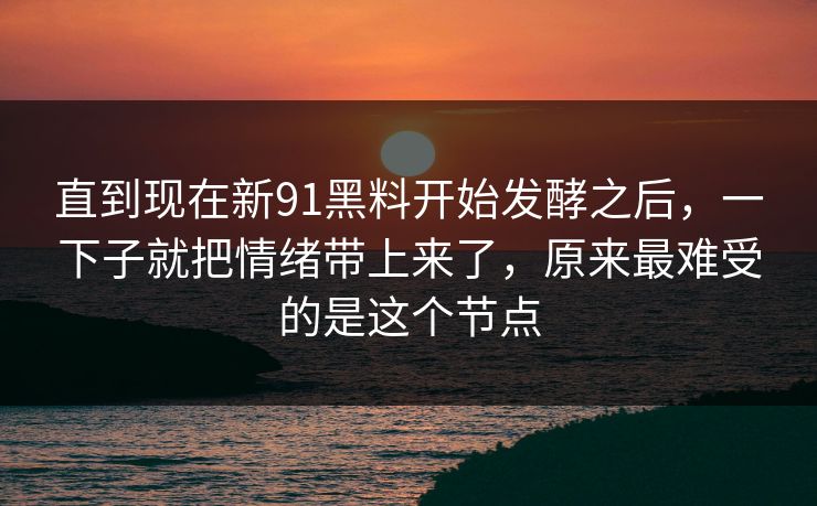 直到现在新91黑料开始发酵之后，一下子就把情绪带上来了，原来最难受的是这个节点