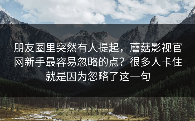 朋友圈里突然有人提起，蘑菇影视官网新手最容易忽略的点？很多人卡住就是因为忽略了这一句