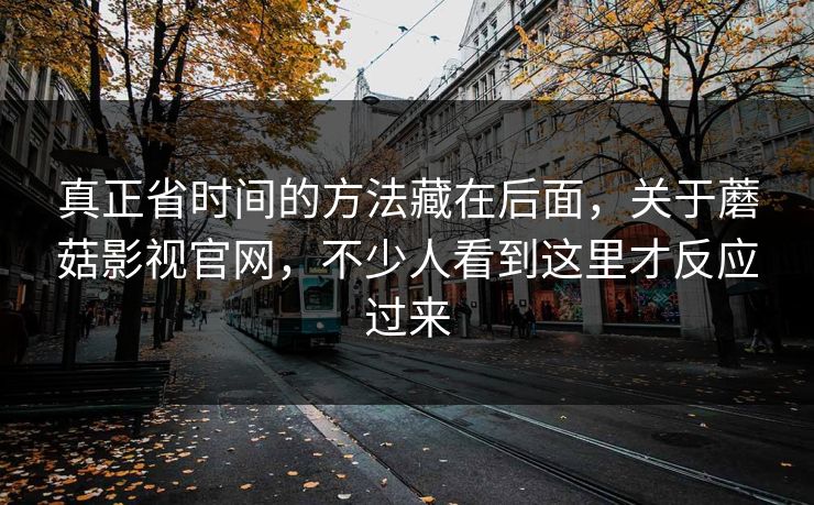 真正省时间的方法藏在后面，关于蘑菇影视官网，不少人看到这里才反应过来