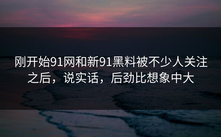刚开始91网和新91黑料被不少人关注之后，说实话，后劲比想象中大