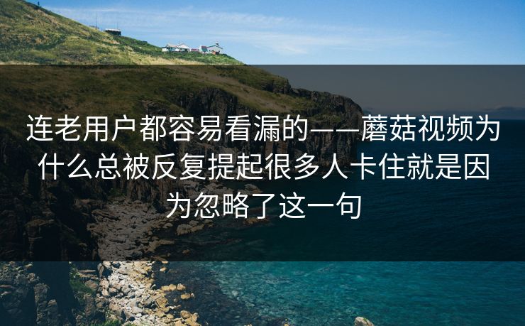 连老用户都容易看漏的——蘑菇视频为什么总被反复提起很多人卡住就是因为忽略了这一句