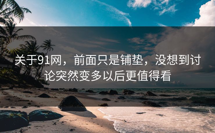 关于91网，前面只是铺垫，没想到讨论突然变多以后更值得看